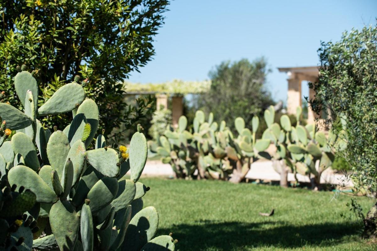 Borgo Rosso Terra Lejlighedshotel Gallipoli Eksteriør billede